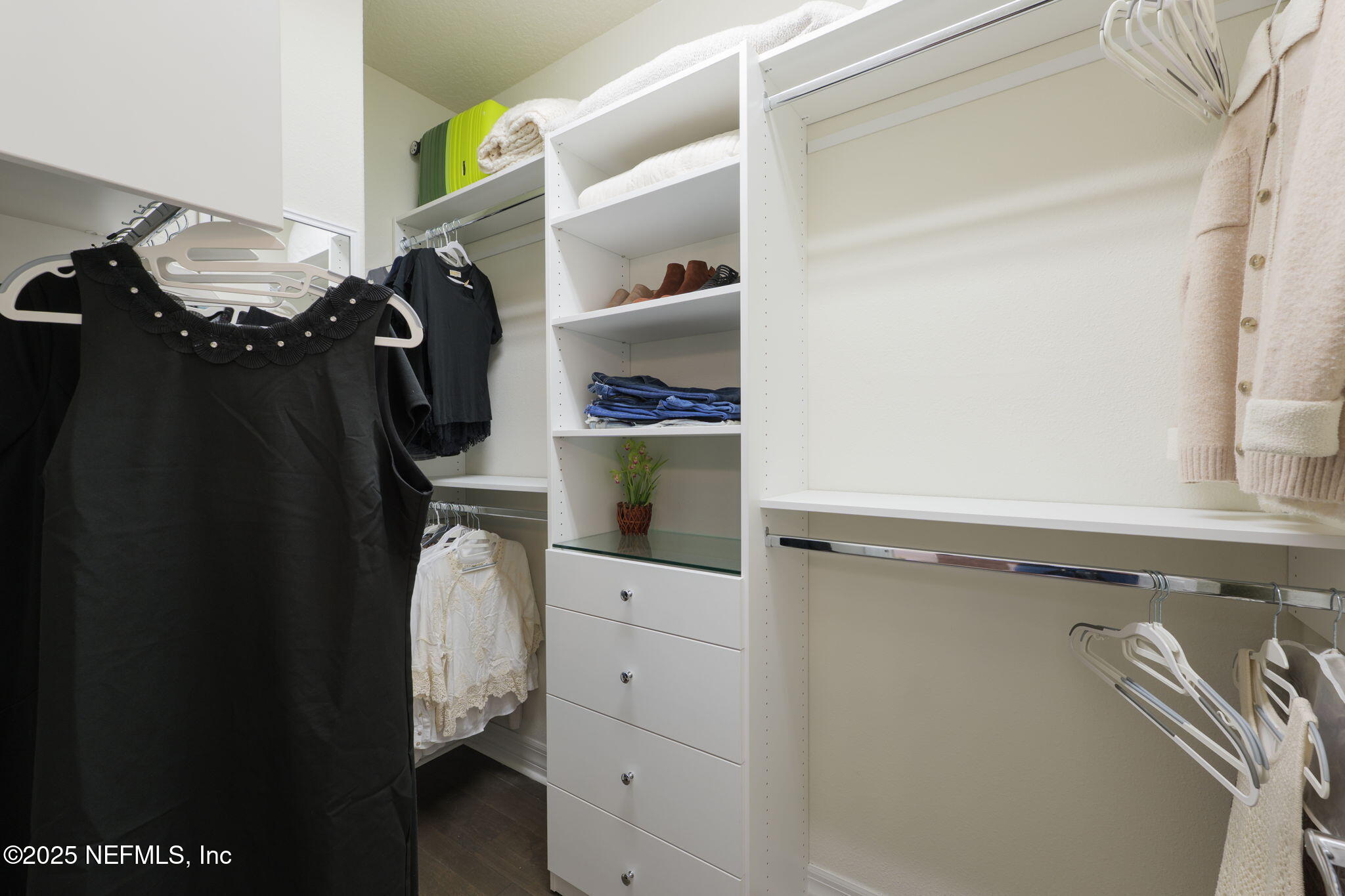 263 Forest Spring Drive Ponte Vedra, FL 32081 - Photo 11 of 75 Walk-In Closet w/Custom Built-Ins