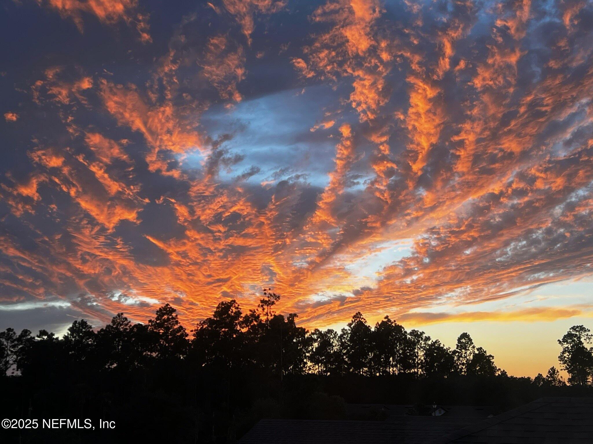 263 Forest Spring Drive Ponte Vedra, FL 32081 - Photo 2 of 75 Sunset View