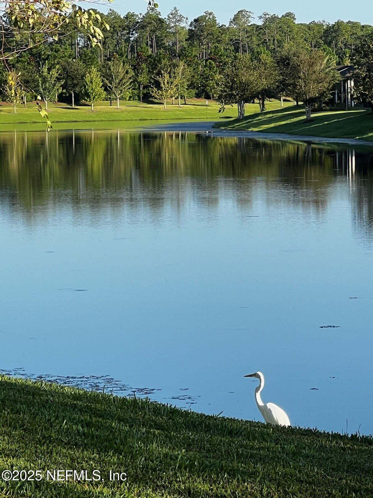263 Forest Spring Drive Ponte Vedra, FL 32081 - Photo 33 of 75 Waterfowl