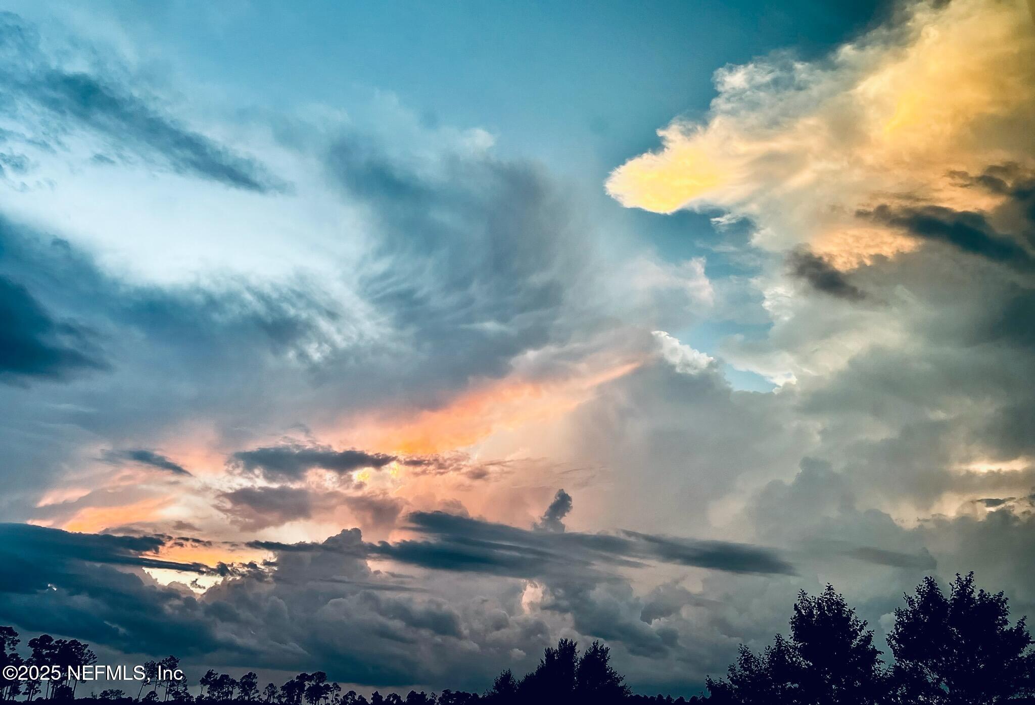 263 Forest Spring Drive Ponte Vedra, FL 32081 - Photo 73 of 75 Evening skyline
