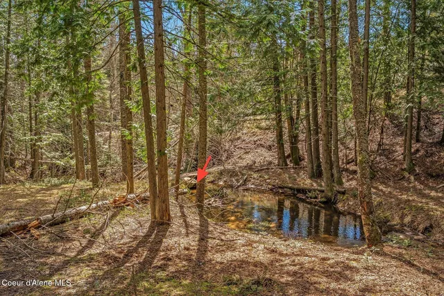 $1,350,000 | 12515 Baldy Mountain Road, Sandpoint, ID 83864