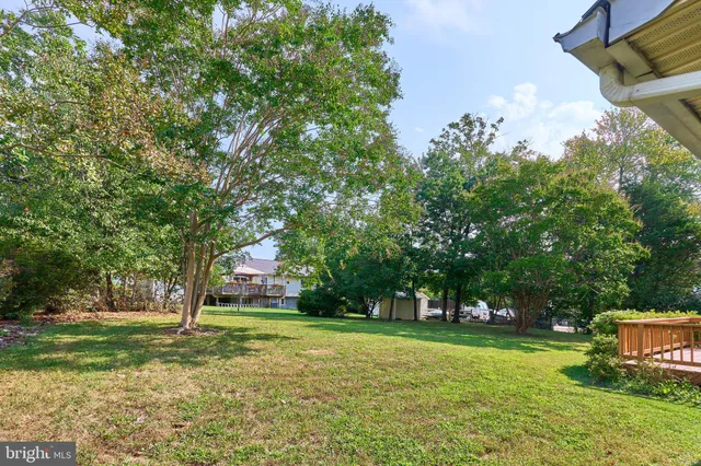a view of a house with a big yard potted plants and large tree