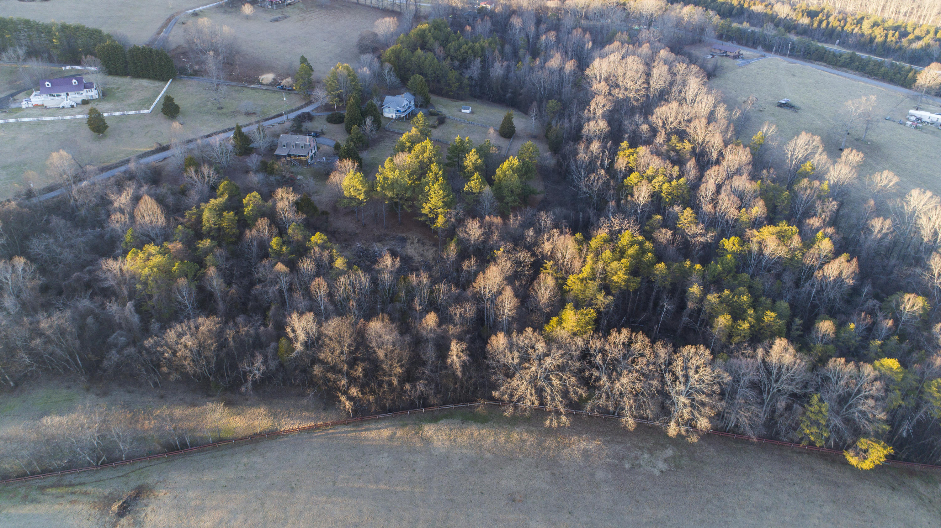 1340 McCarty Road Knoxville, TN 37914 - Photo 8 of 9 DJI_0032