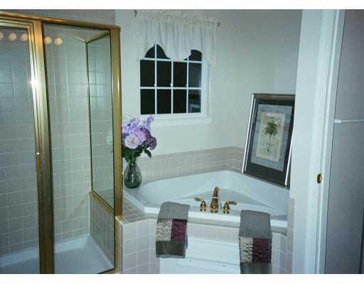 406 Meadow View Drive McKees Rocks, PA 15136 - Photo 7 of 8 Master Bath/Spa.