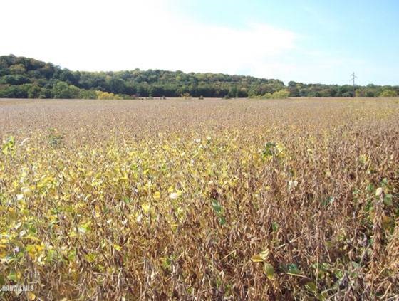 6 South Devils Ladder Road Galena, IL 61036 - Photo 18 of 19 Gallery Image 18
