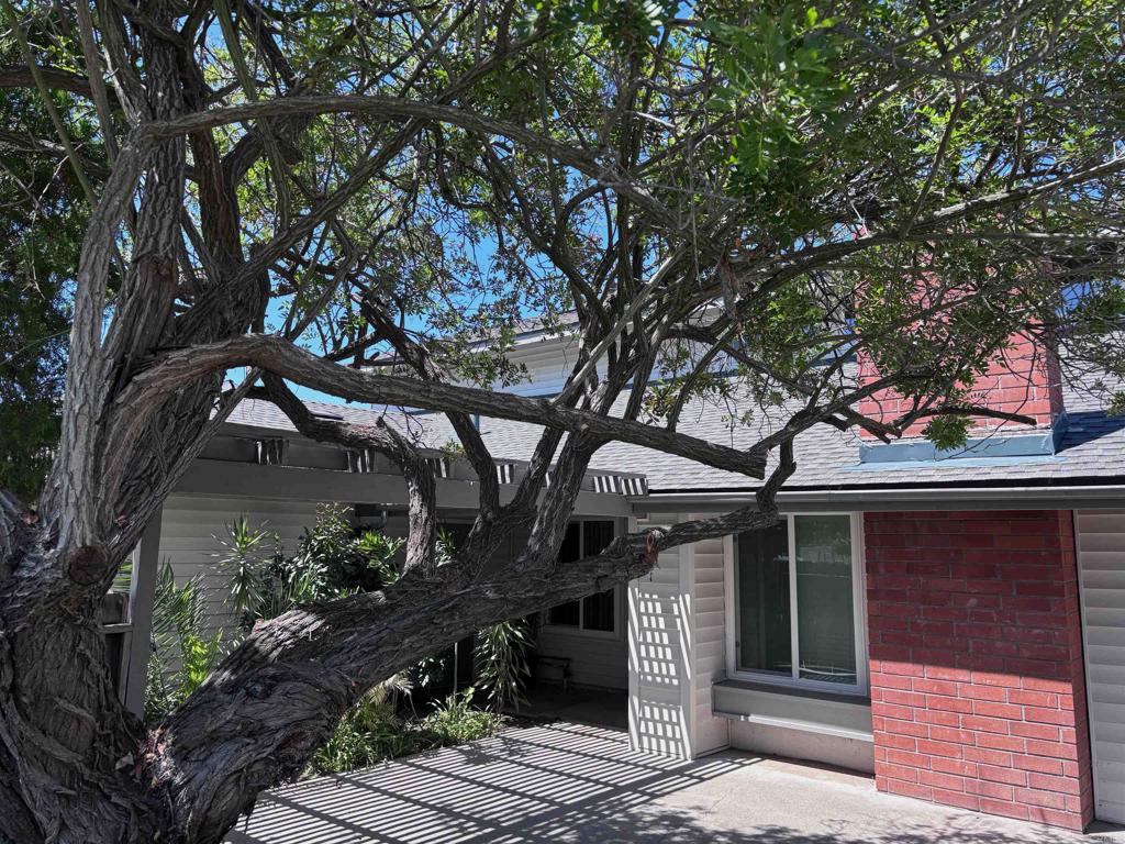 14744 Roberto Rio Road Poway, CA 92064 - Photo 64 of 75 Gallery Image 64