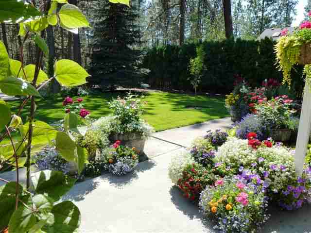 17504 North Michael Road Colbert, WA 99005 - Photo 6 of 8