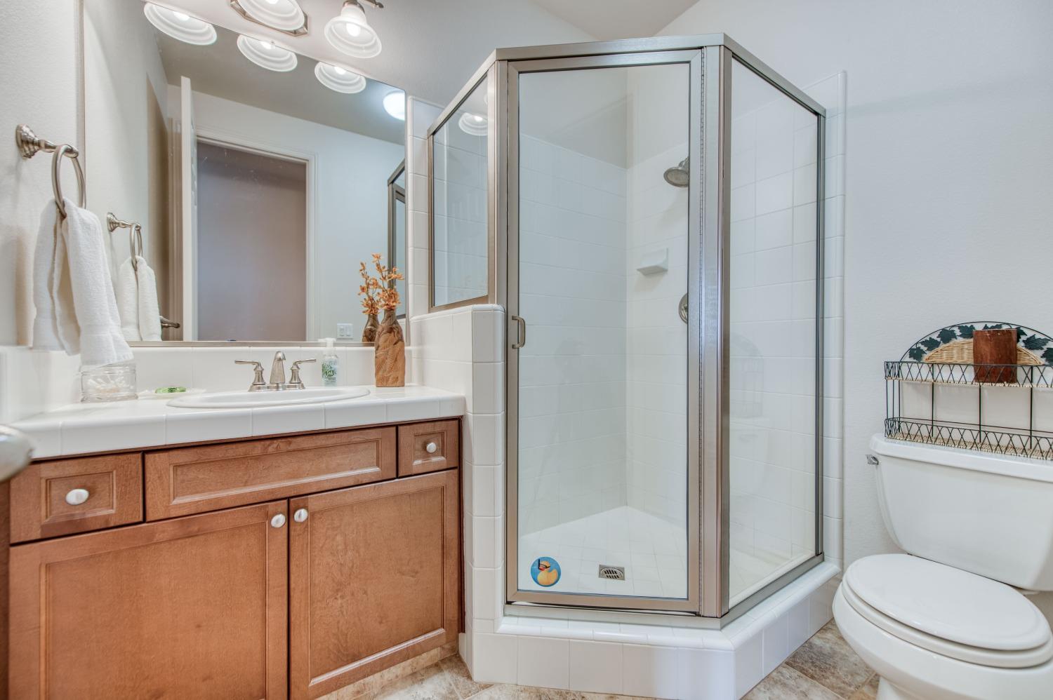 3207 Dennis Avenue Clovis, CA 93619 - Photo 34 of 55 a bathroom with a shower a sink and a mirror