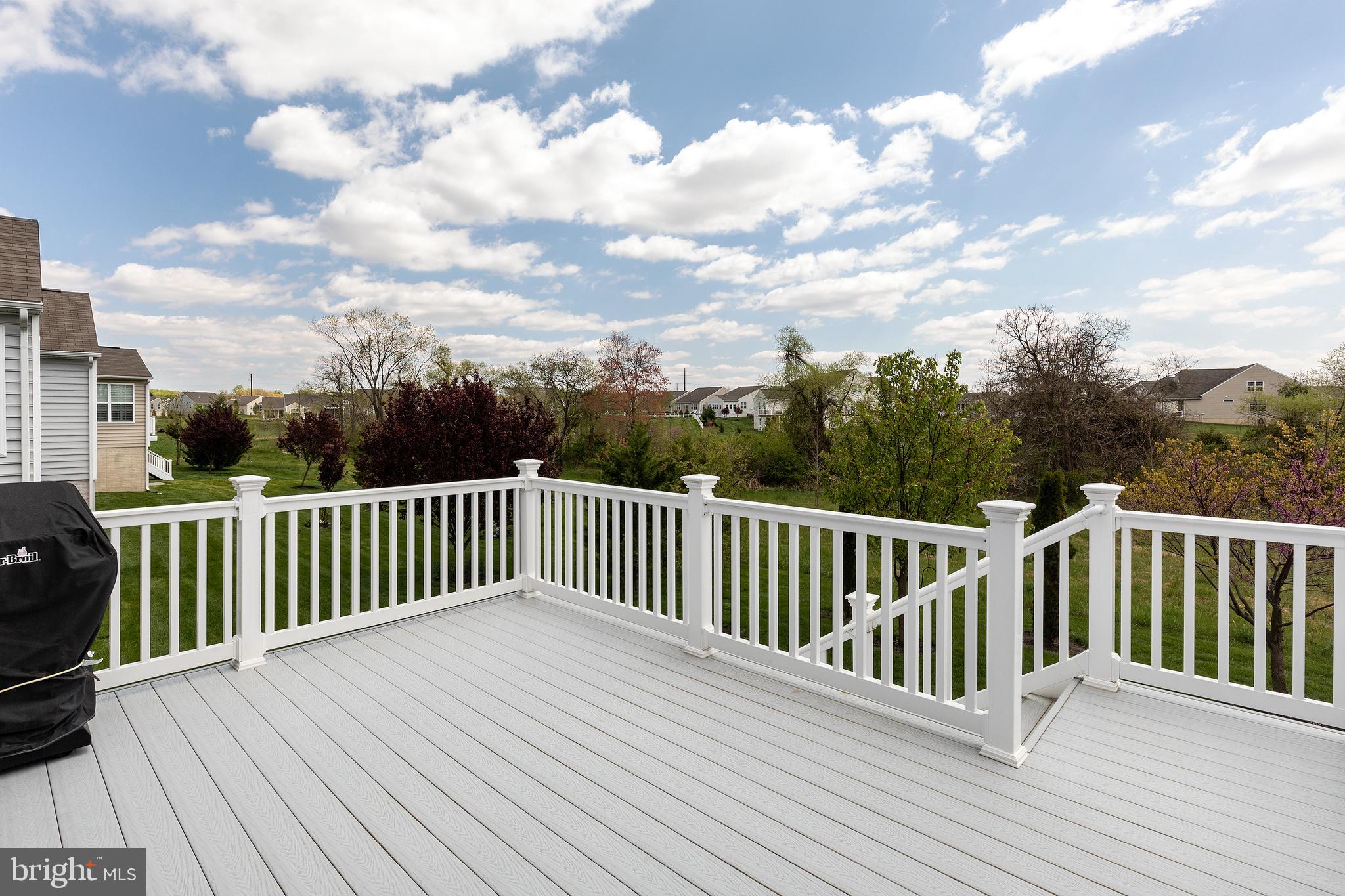 413 Winterberry Drive Middletown, DE 19709 - Photo 13 of 90