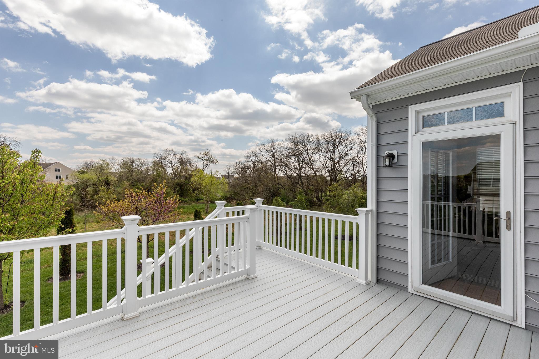 413 Winterberry Drive Middletown, DE 19709 - Photo 14 of 90