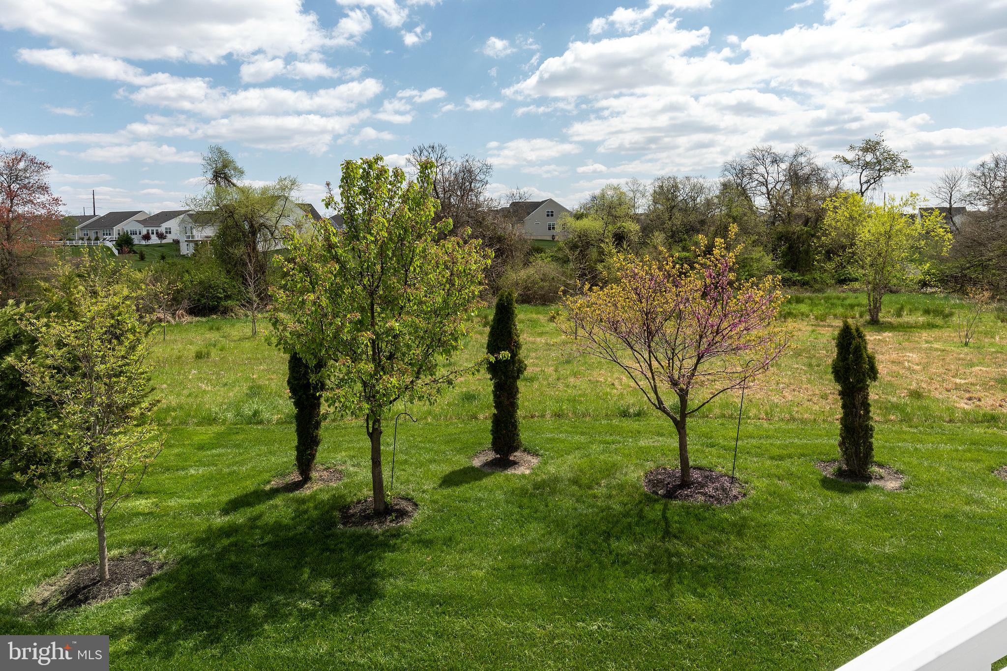 413 Winterberry Drive Middletown, DE 19709 - Photo 21 of 90