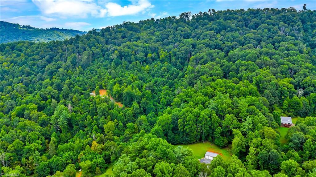 Tbd Tbd Deep Ford Road Lansing, NC 28643 - Photo 4 of 21