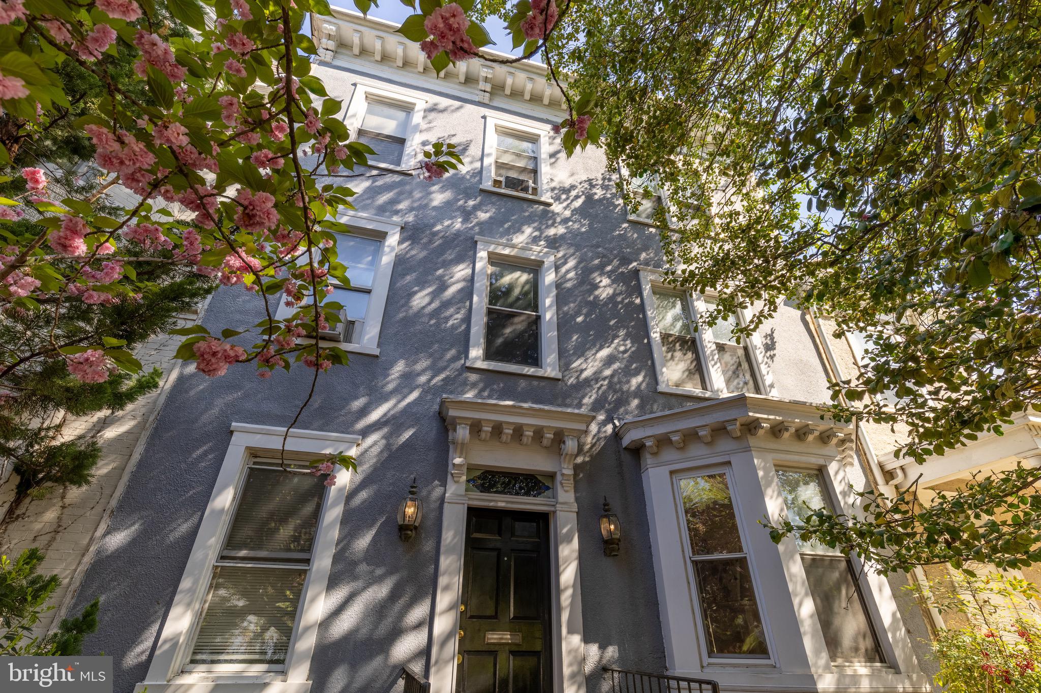 228 East Capitol Street Northeast Washington, DC 20003 - Photo 2 of 27 a view of a building with a tree