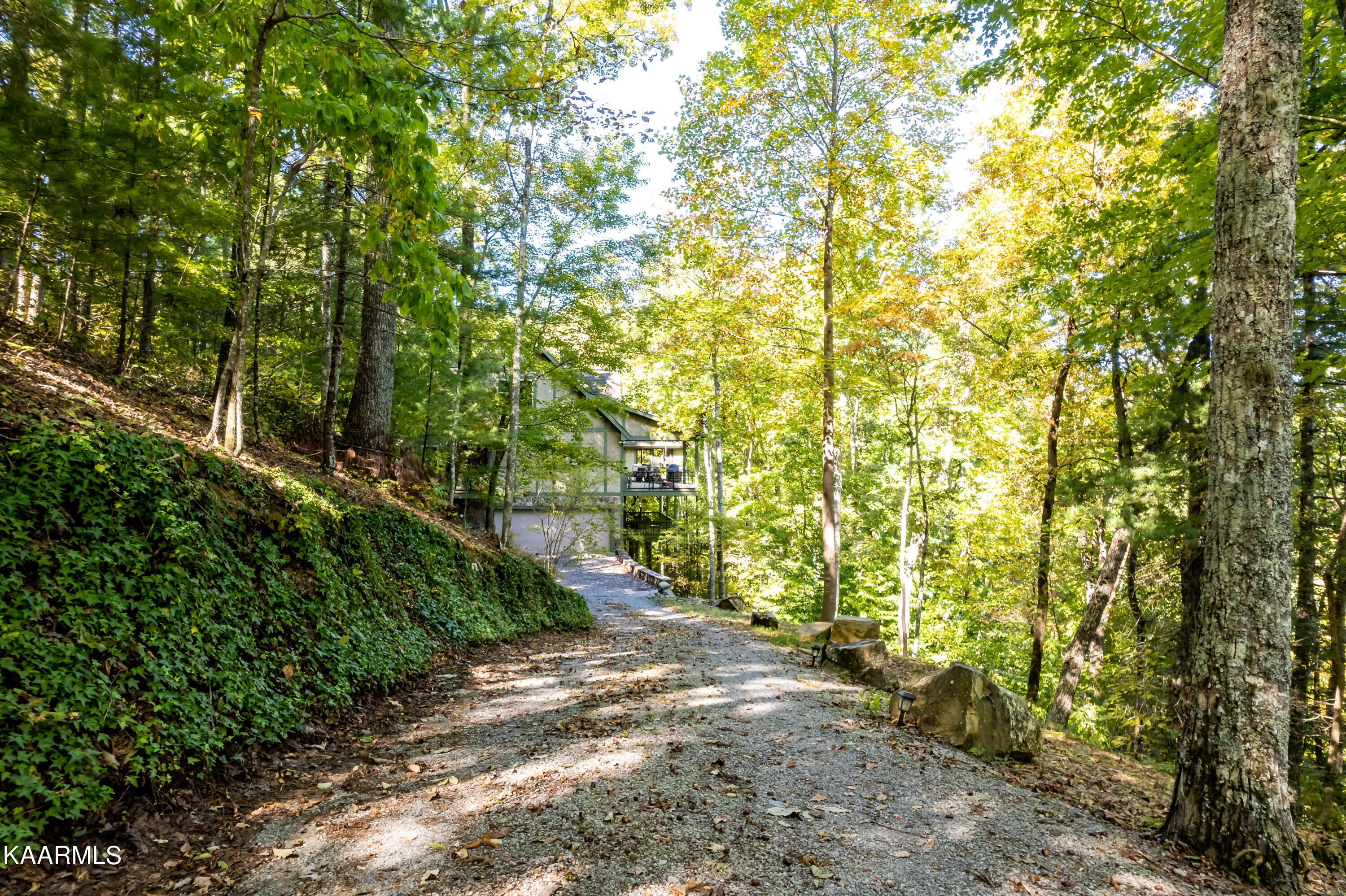 124 Kelly Ridge Road Townsend, TN 37882 - Photo 53 of 60 124KellyRidgerd-57