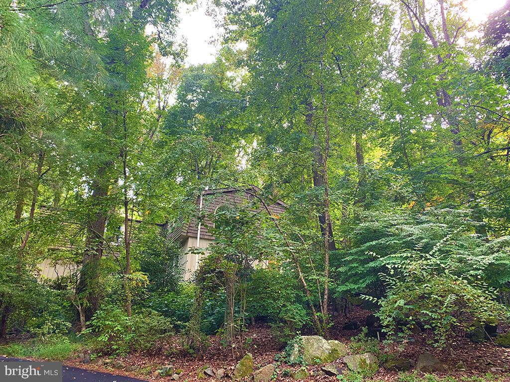 3 Middle Road New Hope, PA 18938 - Photo 61 of 62 Gallery Image 61