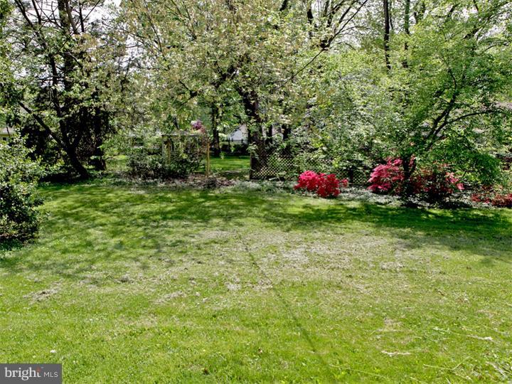 503 Morris Lane Wallingford, PA 19086 - Photo 17 of 17 Back yard