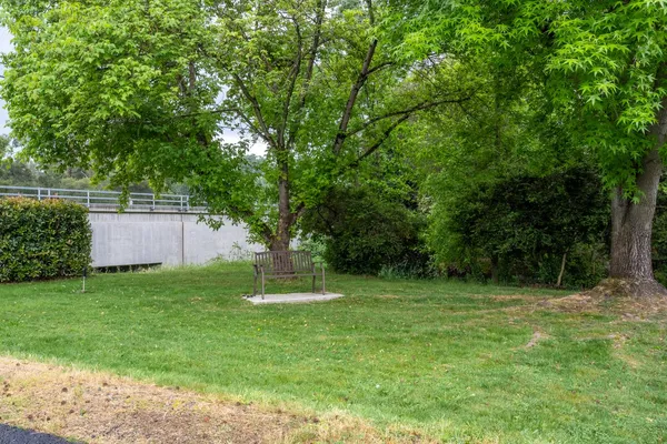 a backyard of a house with plants and large trees