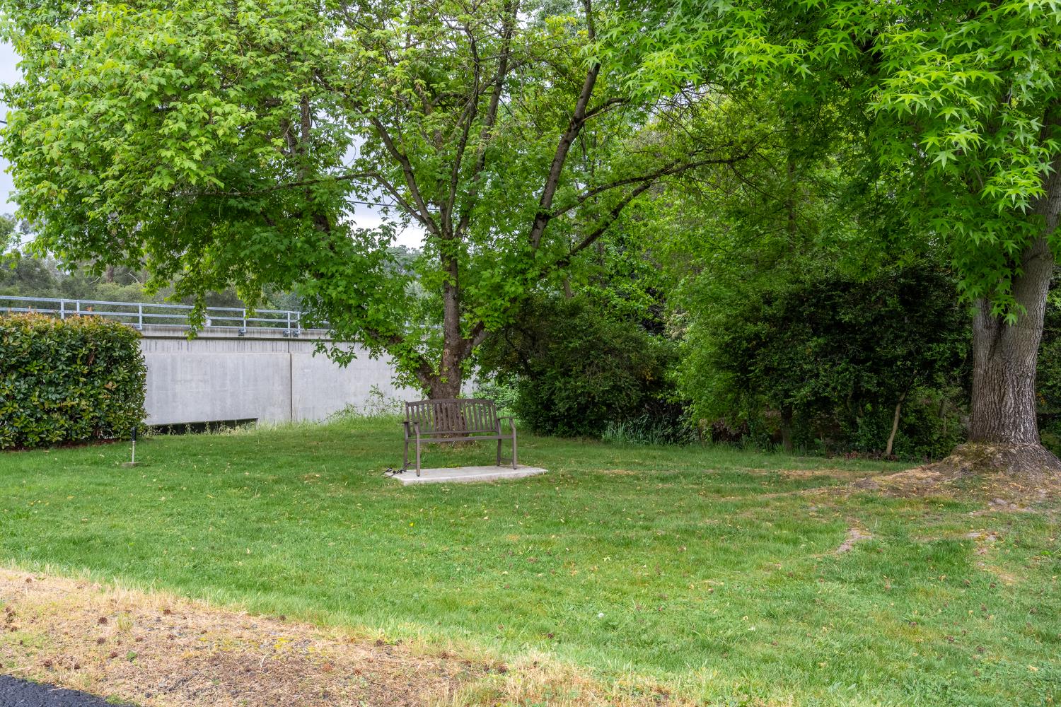 9060 Auburn Folsom Road, Unit 1 Granite Bay, CA 95746 - Photo 24 of 27 a backyard of a house with plants and large trees