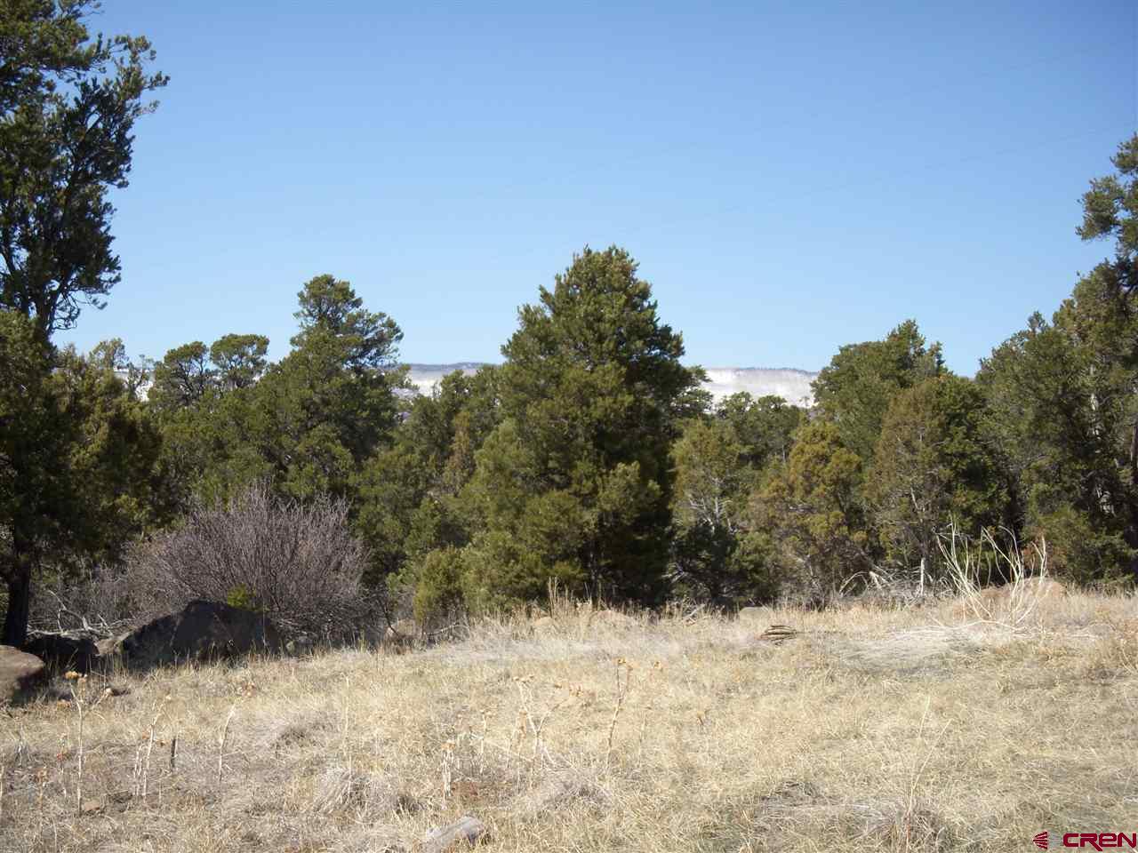 Tbd Timothy Road Cedaredge, CO 81413 - Photo 1 of 3