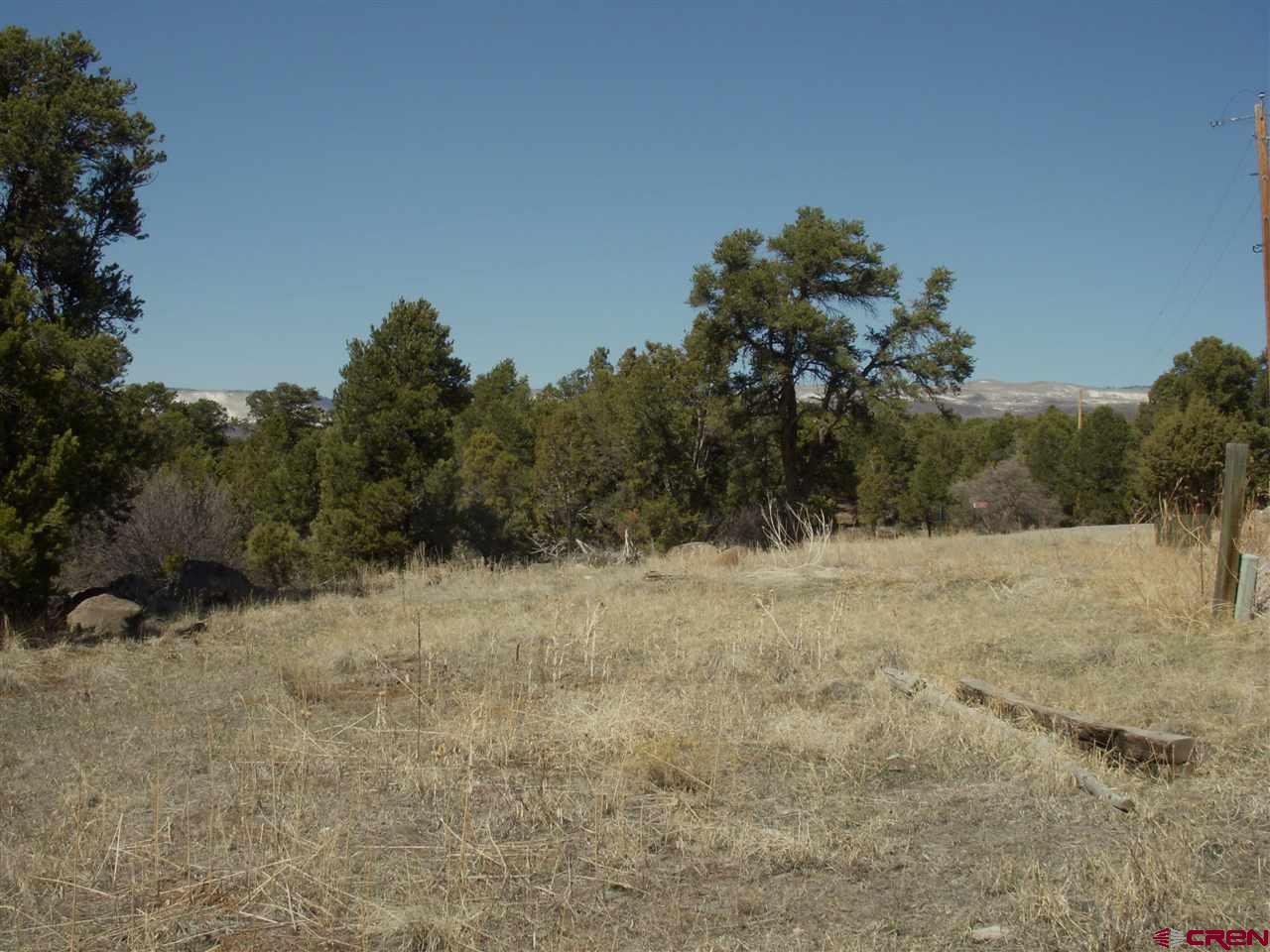 Tbd Timothy Road Cedaredge, CO 81413 - Photo 2 of 3