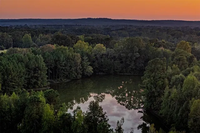 a view of a lake in middle of forest