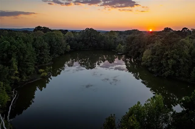 a view of a lake in middle of forest