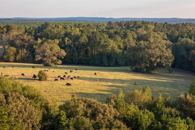 a view of a swimming pool and an outdoor seating