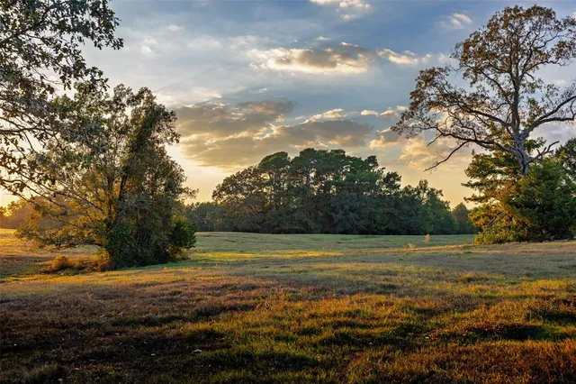 a view of a field with an ocean