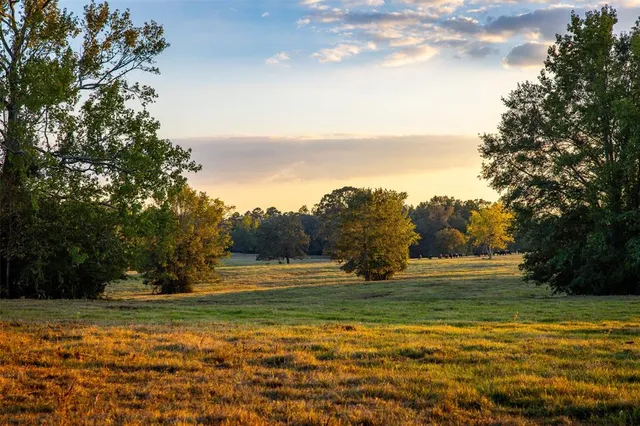 a view of a lake with a yard