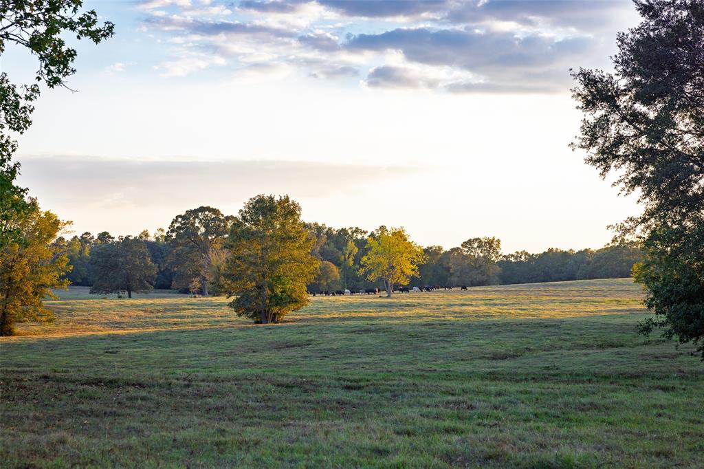 973 County Road 2572 Center, TX 75935 - Photo 25 of 40