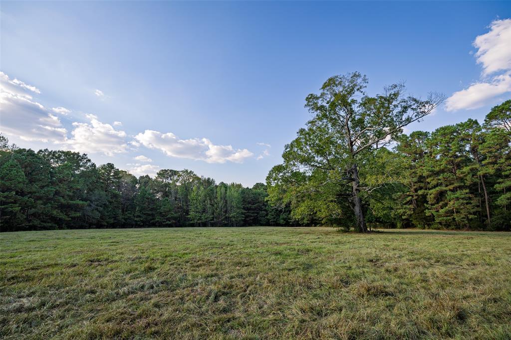 973 County Road 2572 Center, TX 75935 - Photo 26 of 40