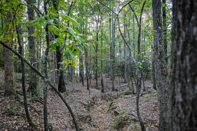 a backyard of a house with lots of trees