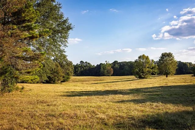 a view of an ocean and beach