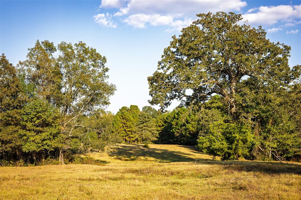 973 County Road 2572 Center, TX 75935 - Photo 34 of 40