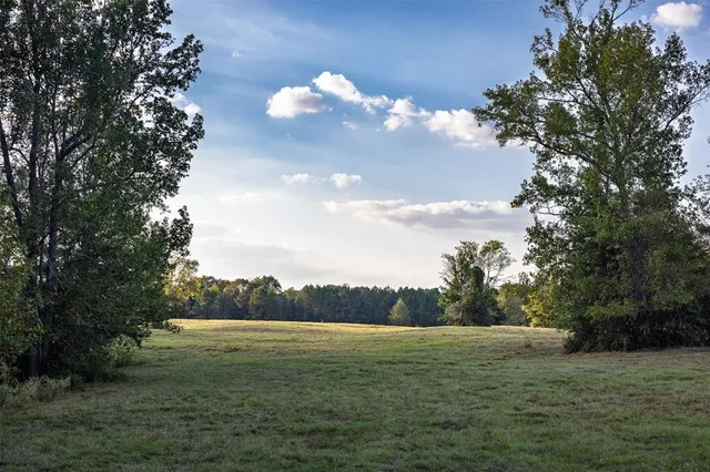 a view of a field with a tree