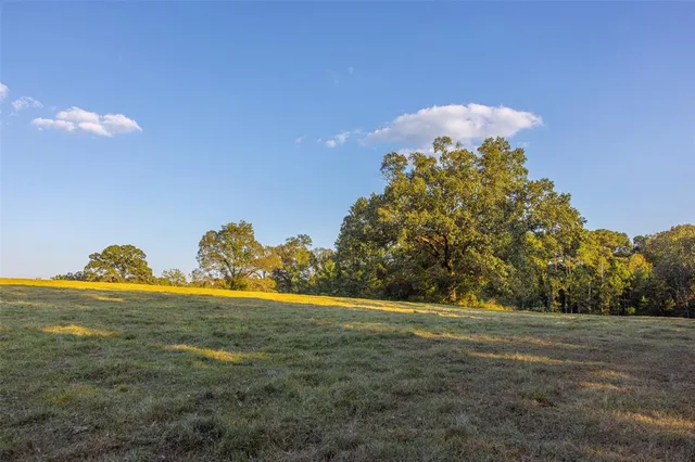 a view of a big yard with large trees