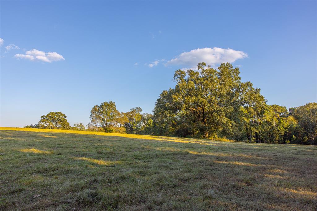 973 County Road 2572 Center, TX 75935 - Photo 36 of 40