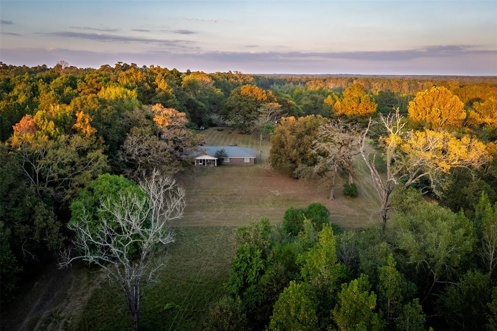973 County Road 2572 Center, TX 75935 - Photo 37 of 40