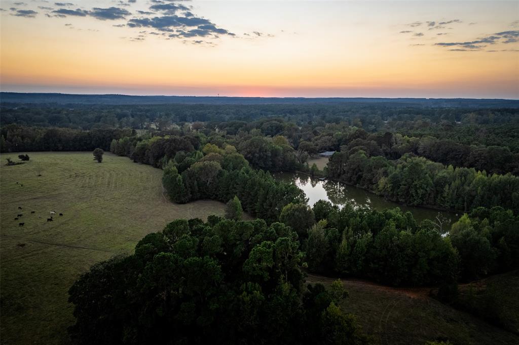 973 County Road 2572 Center, TX 75935 - Photo 4 of 40