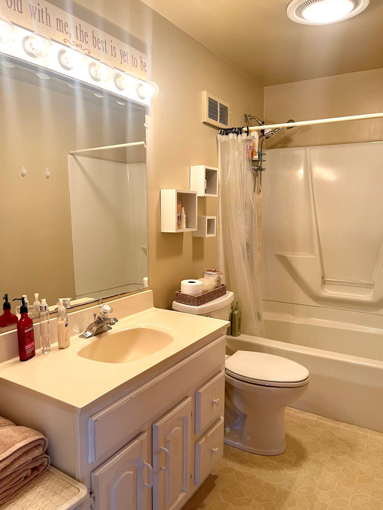 906 South Chamberlain Road Esmond, IL 60129 - Photo 11 of 19 a bathroom with a sink toilet and shower