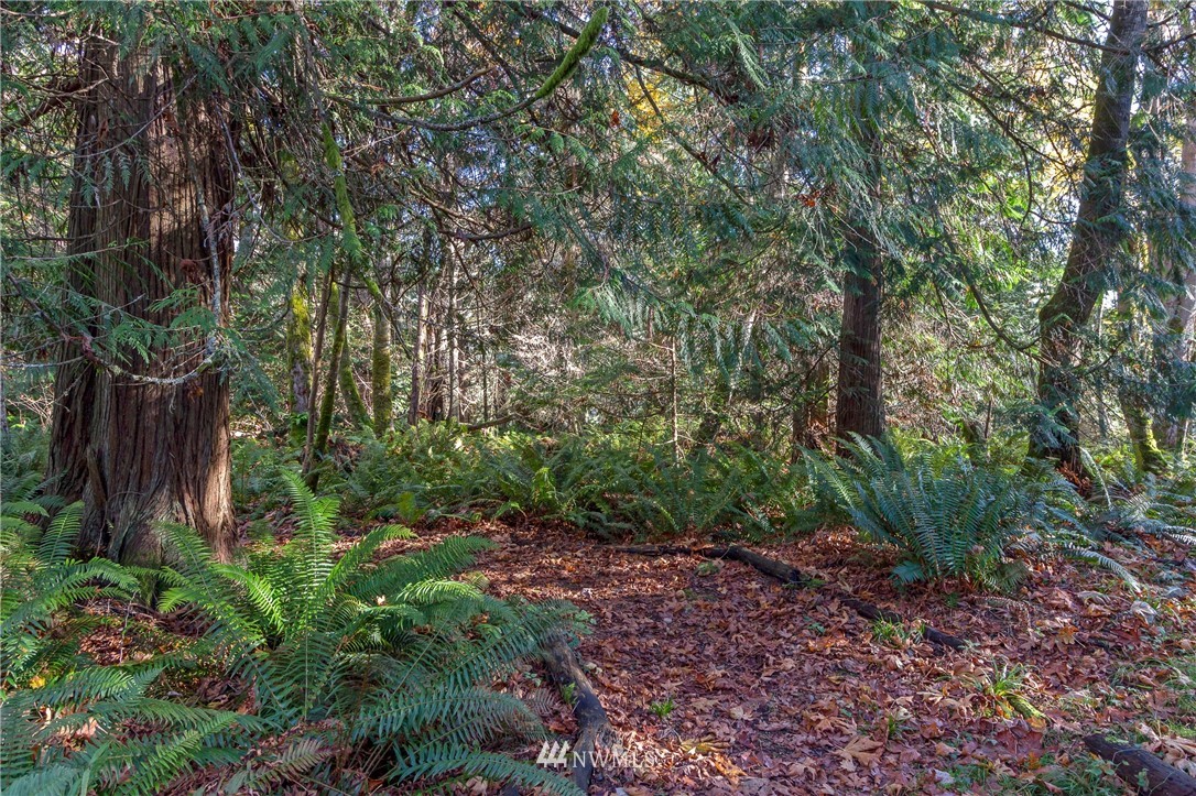 13313 Gibralter Road Anacortes, WA 98221 - Photo 29 of 33 Gallery Image 29