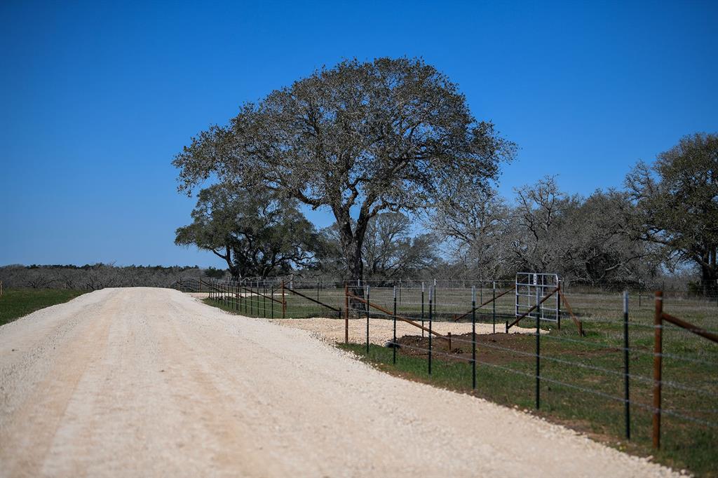460 Main Loop Waelder, TX 78959 - Photo 7 of 9 a view of backyard and trees
