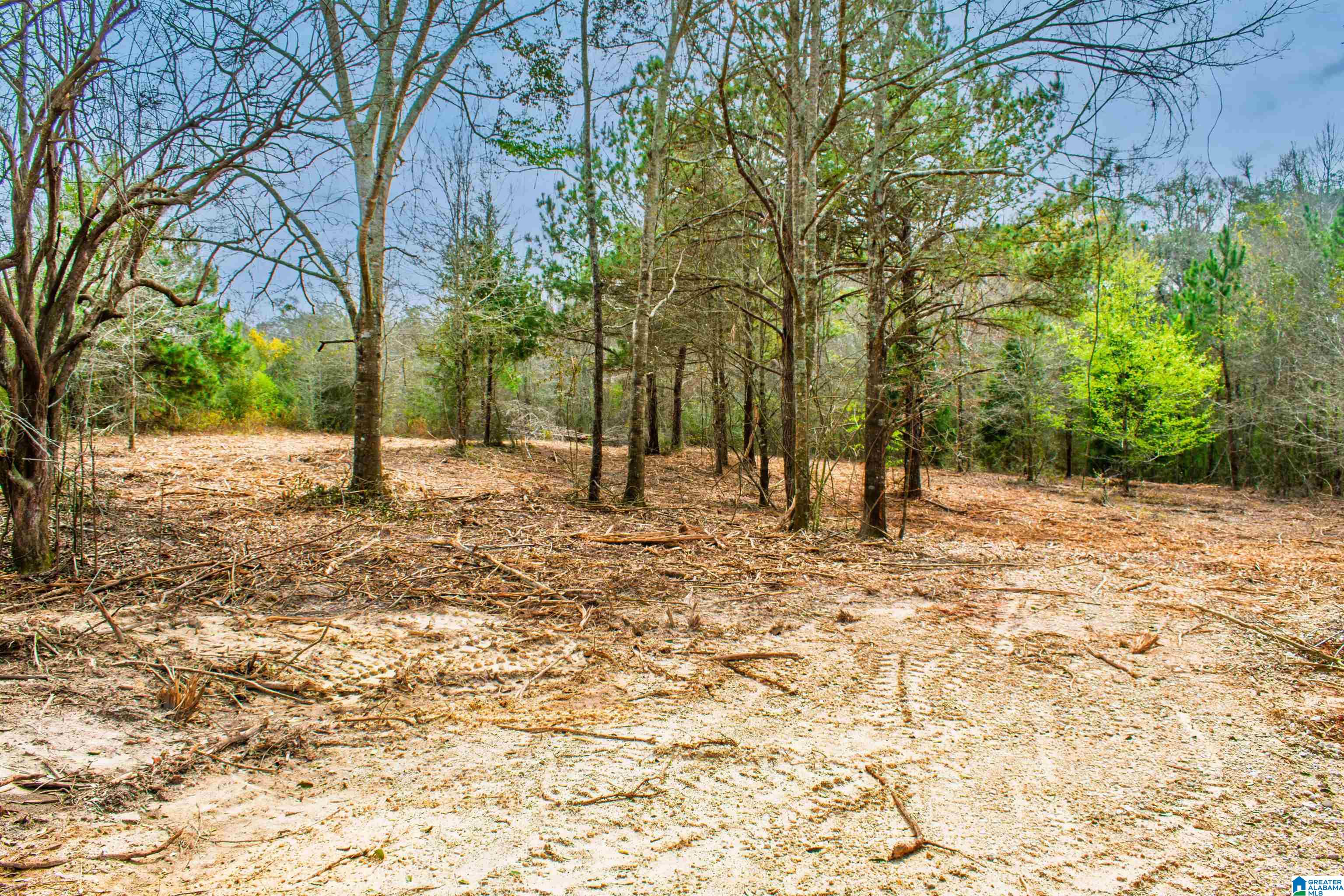 27180 Deer Run Road Opp, AL 36467 - Photo 53 of 60