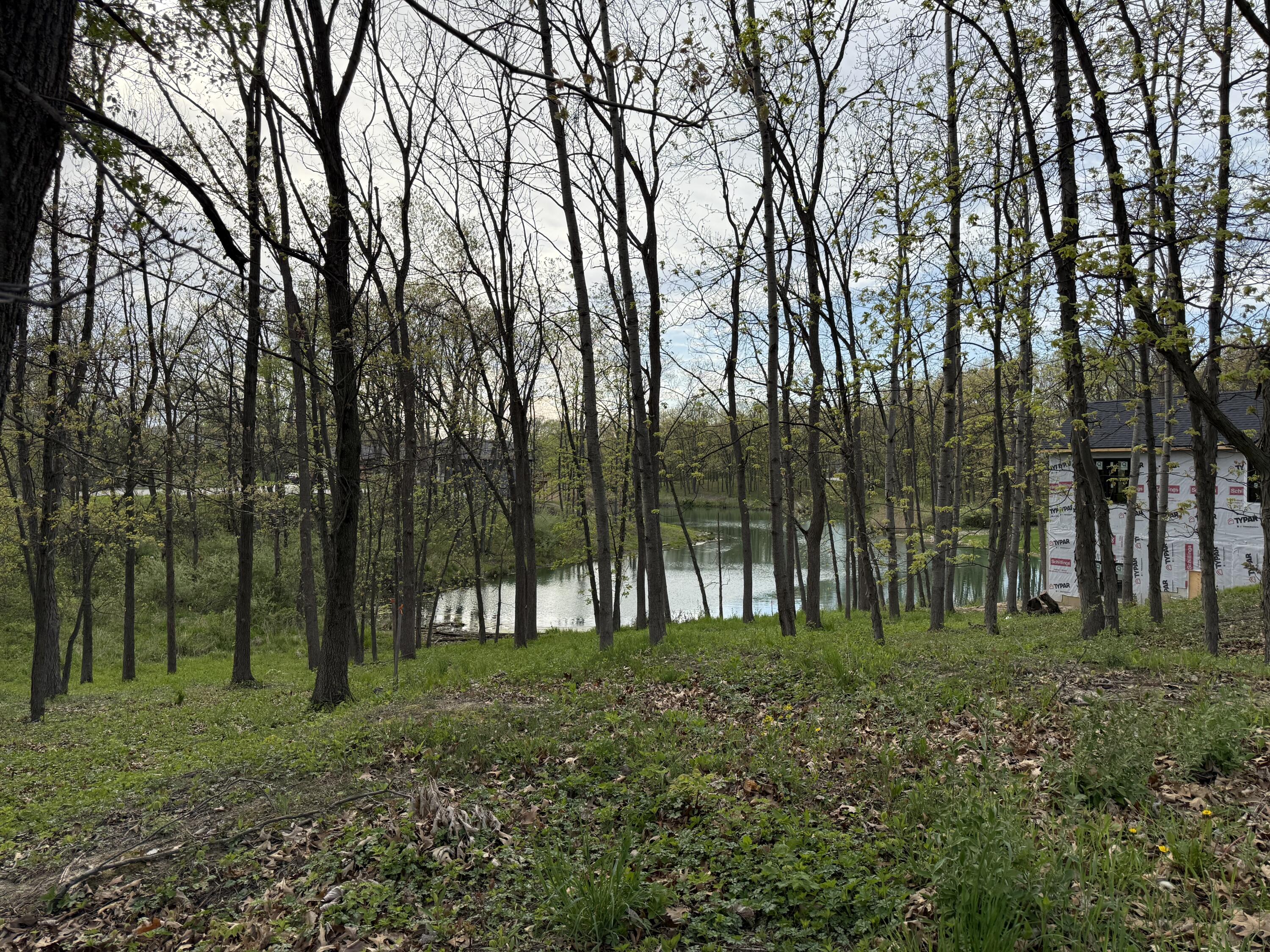 764 Ketill Trace Crown Point, IN 46307 - Photo 3 of 5 a big yard with lots of green space and trees