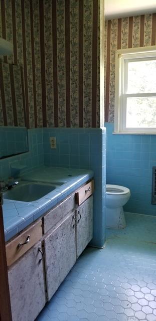 6775 Fall River Road Leoma, TN 38468 - Photo 7 of 26 a view of a bathroom with a sink and a toilet