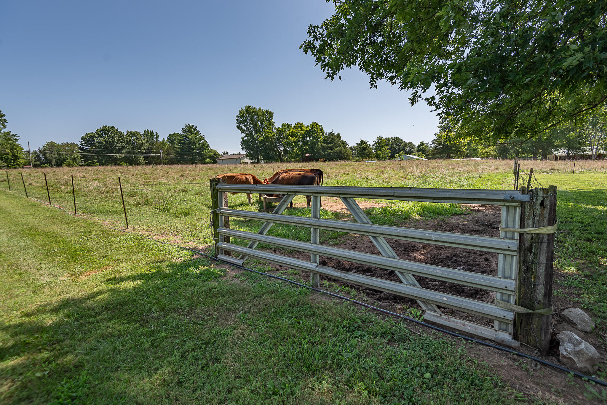 1905 East Webb Road Ozark, MO 65721 - Photo 79 of 81 webb-18