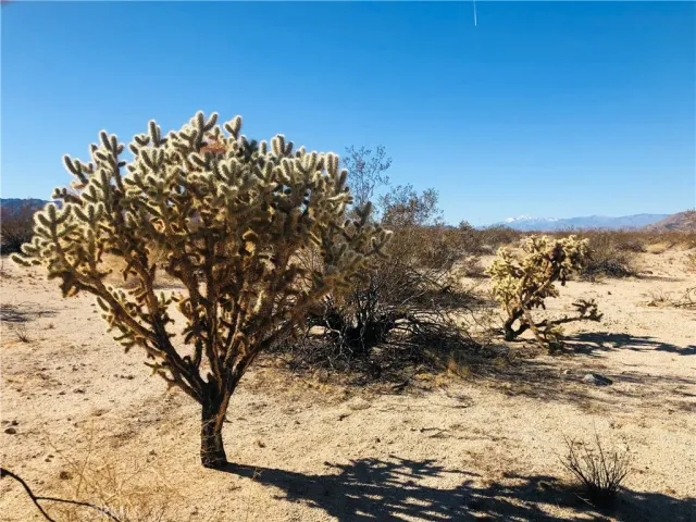 $16,500 | 5 Appian, Venice, CA 90291