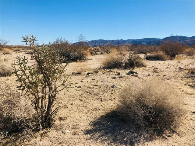 $16,500 | 5 Appian, Venice, CA 90291