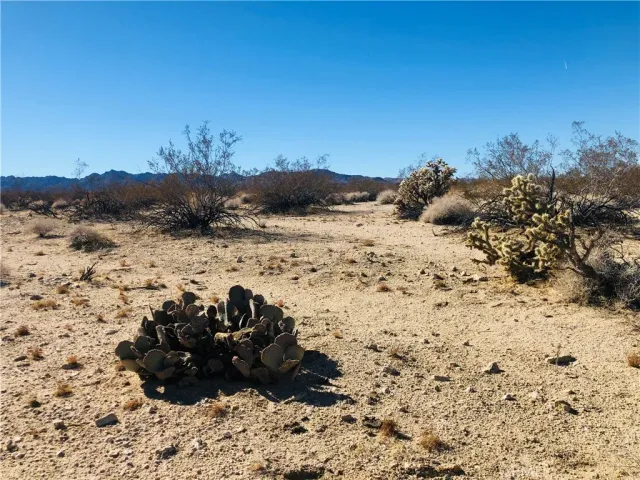 $16,500 | 5 Appian, Venice, CA 90291