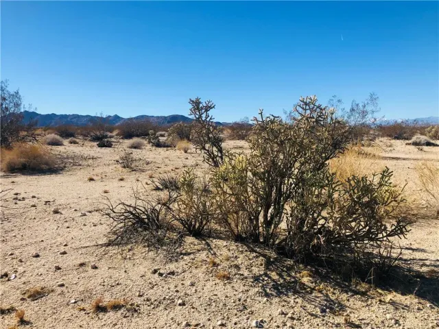 $16,500 | 5 Appian, Venice, CA 90291